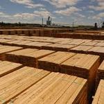 AbitibiBowater timber lumber company