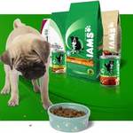 P&G pet food IAMS