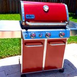 Weber Grill